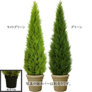 ゴールドクレスト 大型 コニファー インテリア...の詳細画像1