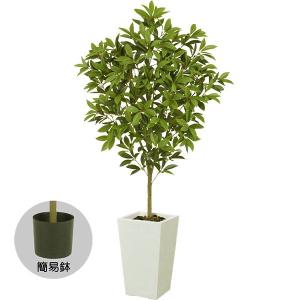 観葉植物 おしゃれ インテリアグリーン 月桂樹 ローリエ フェイクグリーン 120cm｜keishin