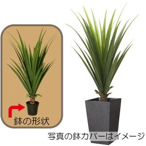 観葉植物 おしゃれ インテリアグリーン アロエ 多肉植物 フェイクグリーン 1.5m｜keishin