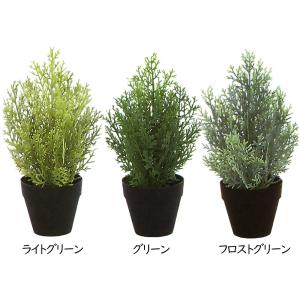 フェイクグリーン 屋外 小型 ゴールドクレスト...の詳細画像1
