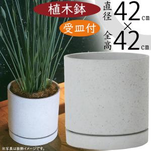 植木鉢 受け皿付き テラコッタ おしゃれ 人気 おすすめ プランター