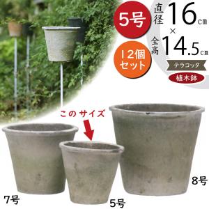 植木鉢 テラコッタ おしゃれ プランター 観葉植物 人気 おすすめ