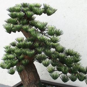 盆栽 12号 全高58cm 造花 フェイクグリーン 人工 観葉植物 植木 偽物 松盆栽 オブジェ 装飾 和風 式典 祭典 卒業式 イベント Bonsai Nb5 Www Mohmmadiyon Com