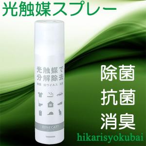 光触媒スプレー 人気 おすすめ ルネキャット 220ml 無色透明 無香 抗菌 消臭 除菌 空気浄化 抗ウィルス 東芝マテリアル 有機物を分解 人工観葉 nc99｜keishin