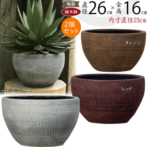 植木鉢 おしゃれ プランター 人気 おすすめ 観葉植物 陶器 素焼き 浅鉢 浅型 ラスティック ジャ...