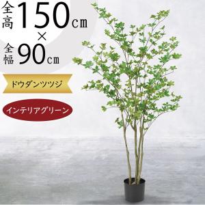 光触媒 人工観葉植物 ウォールグリーン フェイクグリーン マダガスカル