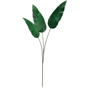 極楽鳥花の商品一覧 通販 Yahoo ショッピング