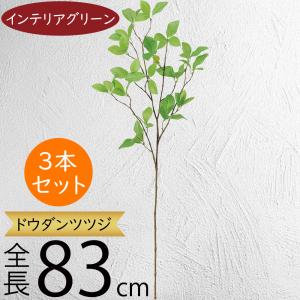 人工観葉植物 フィカス エラスティカ ポット 195 （1個入り） MIRAKANA