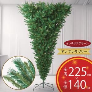 観葉植物 おしゃれ 大型 モミの木 インテリアグリーン もみの木