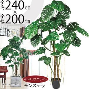 モンステラ 大型 おしゃれ 観葉植物 インテリアグリーン フェイクグリーン 人工観葉植物 造花 人工樹木 リアル 人気 おすすめ 南国 特大 大きい 大きめ 240cm｜keishin