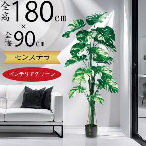 カラテア インテリアグリーン おしゃれ 観葉植物 フェイクグリーン