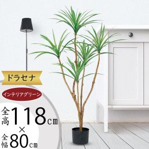 人工観葉植物 フィカス エラスティカ ポット 195 （1個入り） MIRAKANA