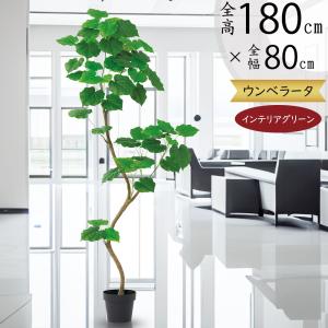 観葉植物 おしゃれ 大型 インテリアグリーン フェイクグリーン リアル
