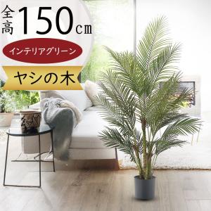 アレカヤシ 観葉植物 人気 おしゃれ インテリア...の商品画像