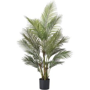 アレカヤシ 観葉植物 人気 おしゃれ インテリ...の詳細画像1