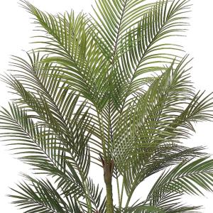 アレカヤシ 観葉植物 人気 おしゃれ インテリ...の詳細画像2