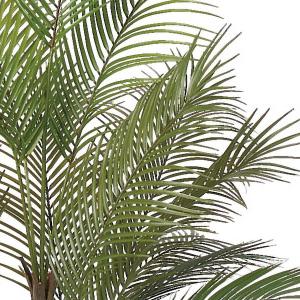 アレカヤシ 観葉植物 人気 おしゃれ インテリ...の詳細画像3