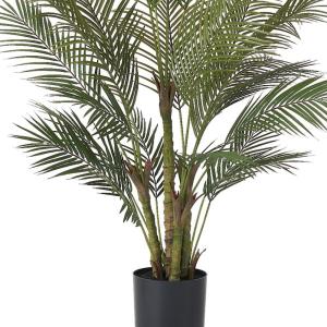 アレカヤシ 観葉植物 人気 おしゃれ インテリ...の詳細画像4
