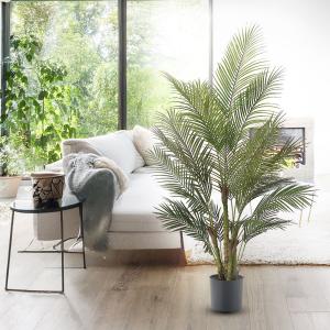 アレカヤシ 観葉植物 人気 おしゃれ インテリ...の詳細画像5