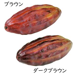食品サンプル カカオ豆 カカオの樹 ココアの樹...の詳細画像1