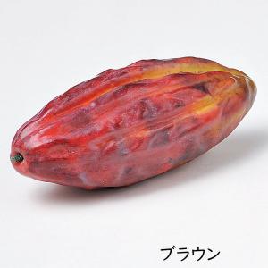 食品サンプル カカオ豆 カカオの樹 ココアの樹...の詳細画像2