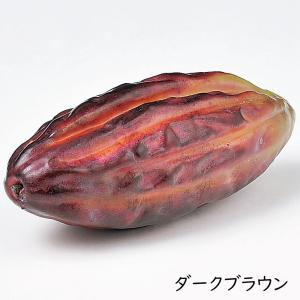 食品サンプル カカオ豆 カカオの樹 ココアの樹...の詳細画像3