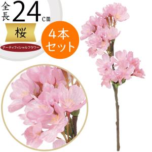 高野槇（コウヤマキ）No.06/2本1組/70cm前後こうやまき : コウヤマキ