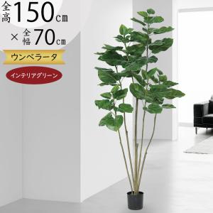 人工観葉植物 光触媒加工 ウンベラータ1.65m 代引き不可 フェイク