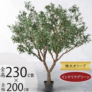 オリーブの木 大型 フェイクグリーン おしゃれ 観葉植物 インテリアグリーン オリーブ オリーブの実 造花 お洒落 リビング 新築祝い 特大 大きい 大きめ 230cm｜keishin