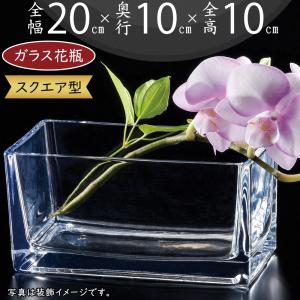 萩焼 天鵬山造 花瓶 共箱 陶器 花入 花器 直径25cm ◇HJ-0021