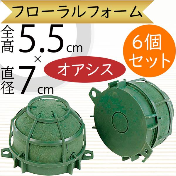 オアシス フローラルフォーム 人気 吸水 スポンジ フラワーアレンジメント 生け花 緑 グリーン 花...