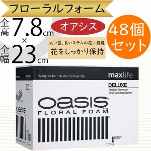 オアシス フローラルフォーム 人気 吸水 給水 スポンジ フラワー