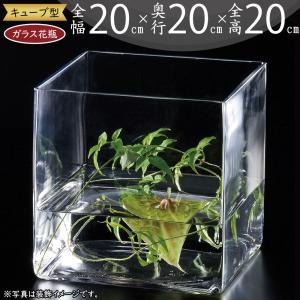 ガラス花瓶 おしゃれ 人気 おすすめ フラワーベース キューブ 四角