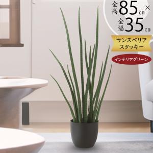 光触媒　人工観葉植物　フェイクグリーン　サンスベリアスタンドセット b-grn00018_5.jpg