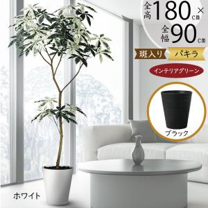 観葉植物 おしゃれ 大型 インテリアグリーン フェイク インディアン