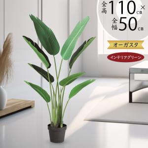 インテリアグリーン おしゃれ 人工観葉植物 おすすめ リアル