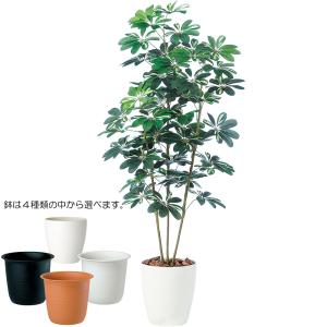 インテリアグリーン おしゃれ リアル 人気 おすすめ 観葉植物 フェイクグリーン 造花 人工観葉 人工樹木 本物そっくり 高品質 シェフレラ カポック 大きめ 150cm｜keishin