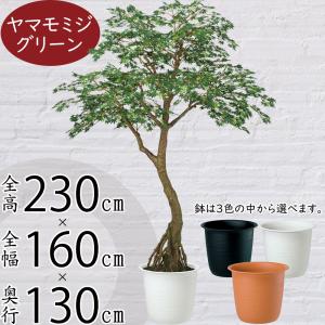 もみじ モミジ 大型 青紅葉 おしゃれ インテリ...の商品画像