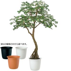 もみじ モミジ 大型 青紅葉 おしゃれ インテ...の詳細画像1