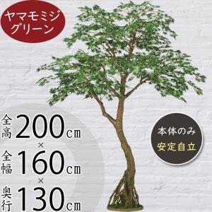 もみじ モミジ 大型 青紅葉 おしゃれ インテリアグリーン フェイクグリーン リアル 人工観葉植物 アートプランツ 樹木 造花 家具 ギフト 特大 コアッド 200cm
