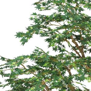 もみじ モミジ 大型 青紅葉 おしゃれ インテ...の詳細画像2