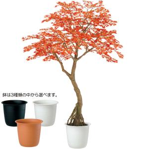 もみじ モミジ 大型 紅葉 おしゃれ インテリ...の詳細画像1