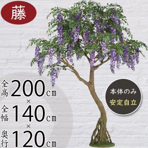 藤 ふじ フジ 人気 人工観葉植物 大型 特大 おしゃれ 紫 フェイクグリーン リアル インテリアグリーン おすすめ 観葉植物 樹木 造花 オブジェ コアッド 200cm