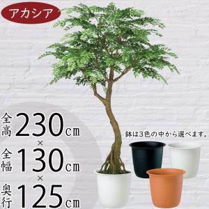 人工観葉 大型 特大 おしゃれ フェイクグリーン...の商品画像