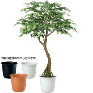 人工観葉 大型 特大 おしゃれ フェイクグリー...の詳細画像1