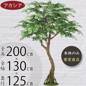 観葉植物 おしゃれ 大型 インテリアグリーン フェイク インディアン