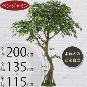 人工観葉植物 大型 特大 おしゃれ ベンジャミン フィカス ベンジャミナ フェイクグリーン リアル インテリアグリーン おすすめ 観葉植物 造花 コアッド 200cm