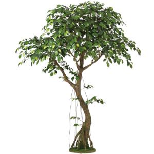 人工観葉植物 大型 特大 おしゃれ ベンジャミ...の詳細画像1