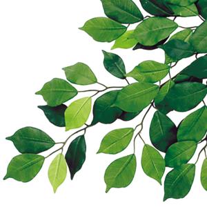 人工観葉植物 大型 特大 おしゃれ ベンジャミ...の詳細画像4