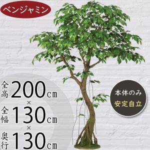 人工観葉 大型 特大 おしゃれ ベンジャミン フ...の商品画像